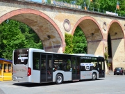 Díky zahraničním zkušenostem se lze vyhnout mnoha potížím