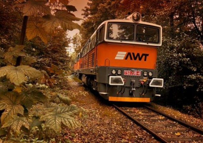 Drážní úřad musí řešit slevy pro přepravu vozových zásilek
poželeznici