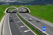 Další dálnice bez poplatku a řidičák na všech úřadech