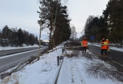 ​ŘSD při zimní údržbě prořezává stromy, které by mohly ohrozit provoz