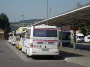 Organizátoři dopravy chtějí po vládě snížení věku řidičů autobusů na 18 let