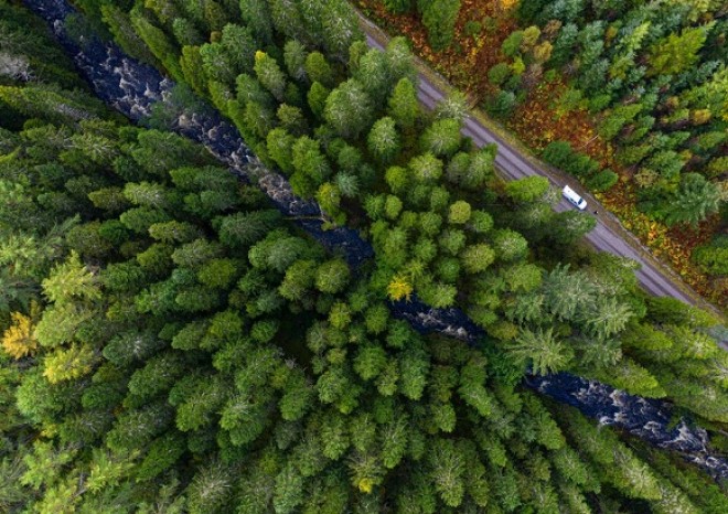 ​Shell nabízí firemním zákazníkům kompenzaci emisí oxidu uhličitého